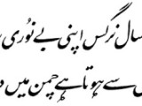 Iqbal poetry for muslims all over the world