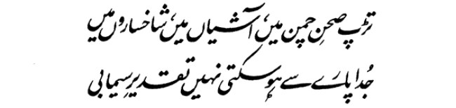 Shaheen poetry Collection of iqbal