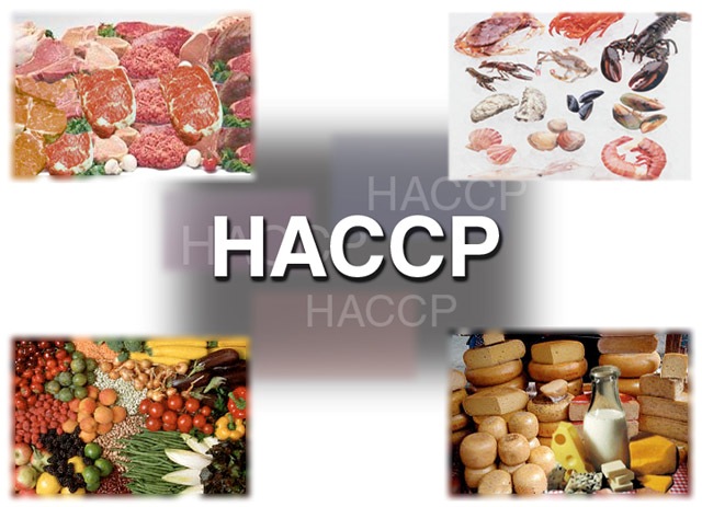 HACCP PROGRAM ANAYLYZE HAZARDS & CRITICAL CONTROL POINTS