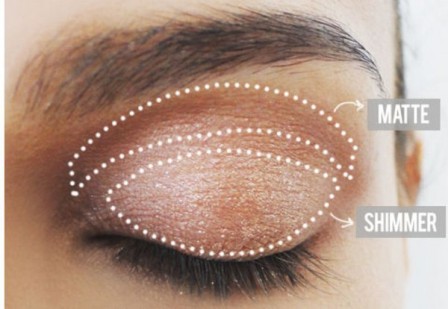how to apply eye shadow step by step 1