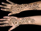 Mehndi Designs 2014 For Hands and Arms