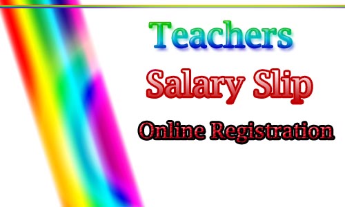 How to create Teachers Salary Slip Online