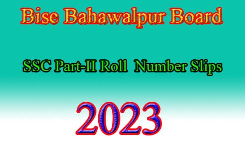  Bise Bahawalpur Board SSC Part-II 10th Class Roll Number slips 2023