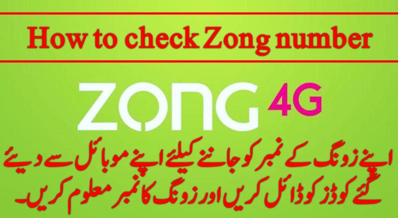 how-to-check-zong-number-details